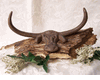 Longhorn Steer Wall Hook