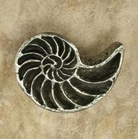 Nautilus Open Shell Pewter Cabinet Knob/Pull (CCW Curve)