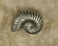 Nautilus Shell Medium Pewter Cabinet Knob/Pull (CCW Curve)