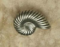 Nautilus Shell Medium Pewter Cabinet Knob/Pull (CW Curve)