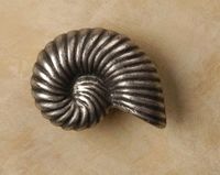 Nautilus Shell Pewter Cabinet Knob/Pull (CW Curve)