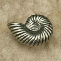 Nautilus Shell Small Pewter Cabinet Knob/Pull (CW Curve)