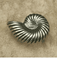 Nautilus Shell Small Pewter Cabinet Knob/Pull (CW Curve)