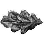Oak Leaf Cabinet Knob, Antique Pewter