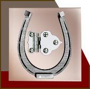 Offset Hinge