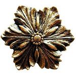 Opulent Flower Cabinet Knob, Brite Brass