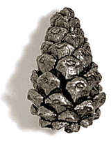 Pinecone Cabinet Knob/Pull