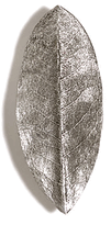 Rhododendron Leaf Cabinet Knob/Pull