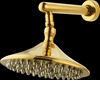 Shower Heads, Gold Brass PVD Raised Jet 8 in. Showerhead