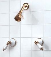 Shower Sets Bright Solid Brass, head with flow control and 6" wall mounted spout