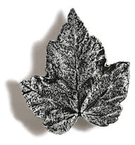 Silver Maple Leaf Cabinet Knob/Pull