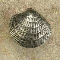 Small Clam Shell Pewter Cabinet Pull