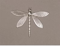 Small Dragonfly Artistic Metal Stamping
