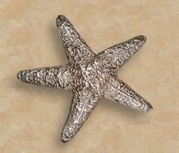 Small Starfish Knob/Pull In Pewter