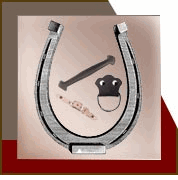 Trunk Straps/Handles