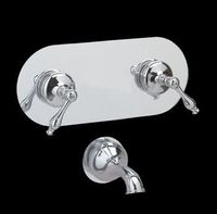 Tub Shower Cover-ups Mirror Acrylic, 2 Hole Cover Up