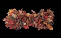 Wall D�cor Multi , Autumn Leaves Swag
