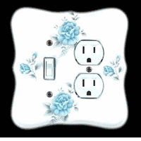 Wallplates, Blue Porcelain Bouquet Combination Wallplate