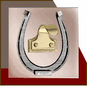 Window Sash Lifts & Locks