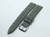Caiman Crocodile Matte