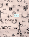 cavallini & co. pink paris designer decorative gift wrap paper