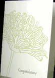 botanical congratulations artisan letterpress greeting card