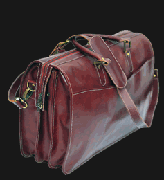Andre Garcia Ludwig Travel Briefcase