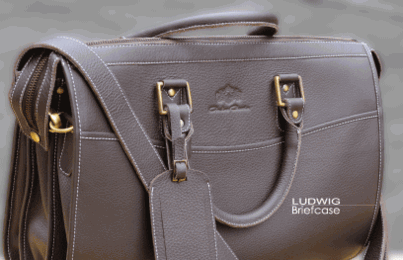 Ludwig Briefcase