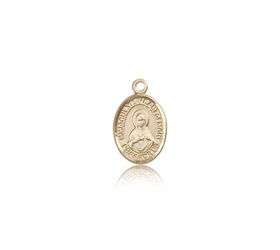 14kt Gold Immaculate Heart of Mary Patron Saint Medal - Small" itemprop="image