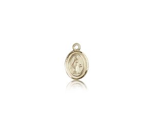 14kt Gold Miraculous Medal" itemprop="image