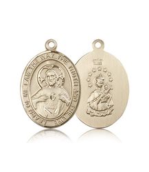 14kt Gold Scapular Patron Saint Medal - Large" itemprop="image