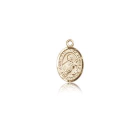 14kt Gold St. Martin de Porres Patron Saint Medal - Small" itemprop="image