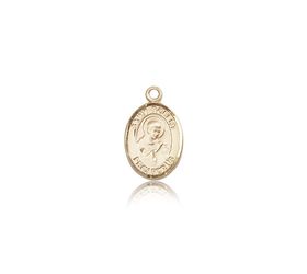 14kt Gold St. Robert Bellarmine Patron Saint Medal - Small" itemprop="image