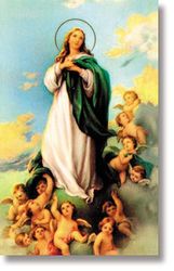 Assumption of Mary Wallet Sized Laminated Holy Card" itemprop="image