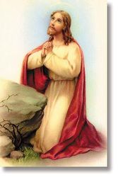 Christ in the Garden Wallet Sized Laminated Holy Card" itemprop="image