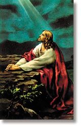 Christ in the Garden Wallet Sized Laminated Holy Card" itemprop="image