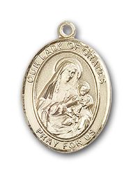 Gold Filled Our Lady Of Grapes Patron Saint Medal Pendant - Small" itemprop="image