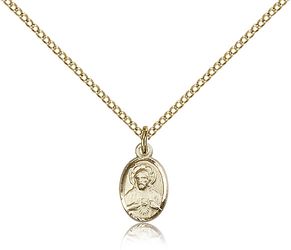 Gold Filled Scapular Medal Pendant" itemprop="image