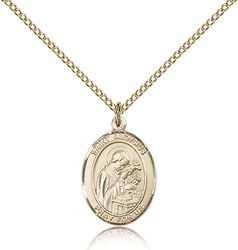 Gold Filled St. Aloysius Gonzaga Patron Saint Medal Pendant - Medium" itemprop="image