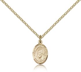 Gold Filled St. Francis de Sales Patron Saint Medal Pendant - Small" itemprop="image