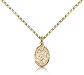 Gold Filled St. Francis de Sales Patron Saint Medal Pendant - Small" itemprop="image