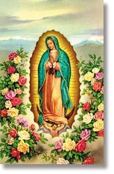 Mother of the Americas Wallet Sized Laminated Holy Card" itemprop="image