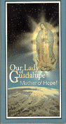 Our Lady of Guadalupe" itemprop="image