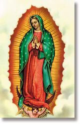 Our Lady of Guadalupe Wallet Sized Laminated Holy Card" itemprop="image