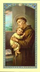 Prayer to St. Anthony Wallet Sized Laminated Holy Card" itemprop="image