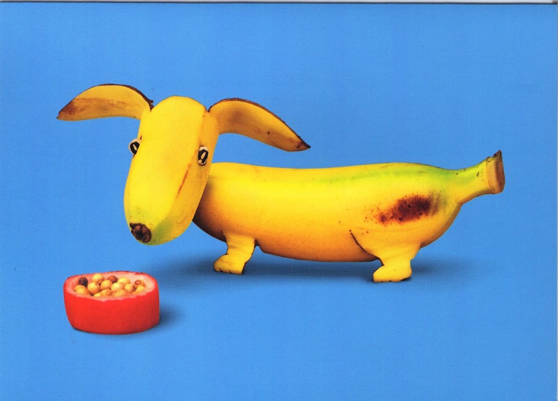 Banana Dog