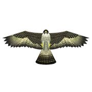 Birds of Prey Falcon Kite