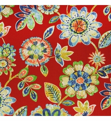 daelyn-cherry: Indoor/Outdoor Fabric