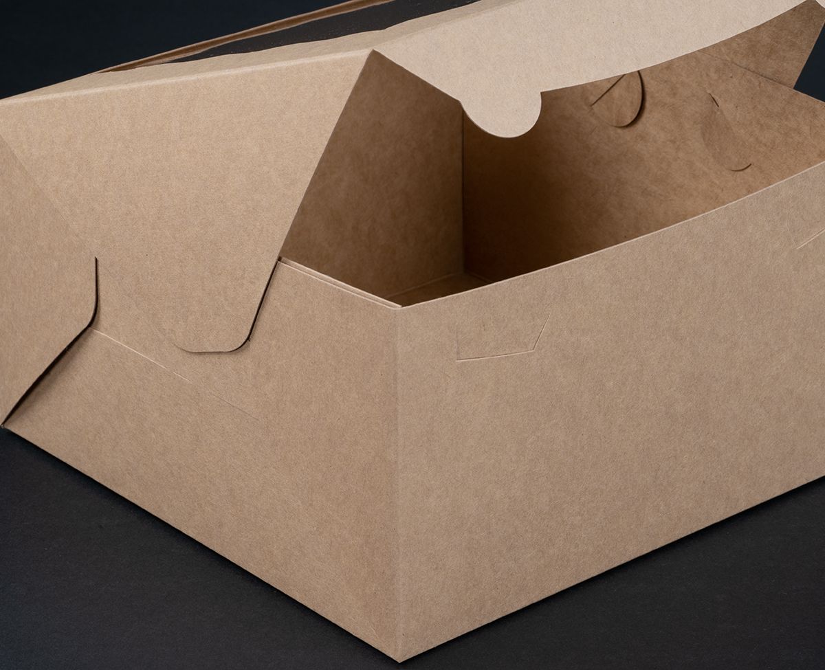 4505-9-x-9-x-5-brown-lock-tab-box-with-window
