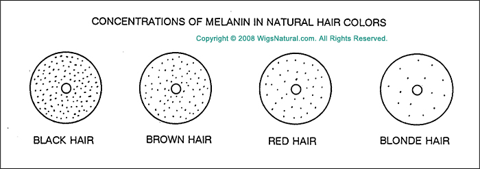 Depth and Levels of Color, Oxidative Haircolors